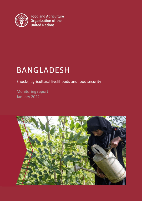Bangladesh - Shocks, agricultural livelihoods and food security: Monitoring report January 2022