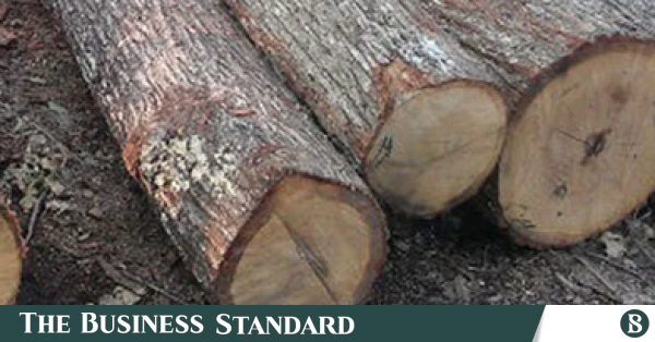 Malaysia's semi-government body keen to promote Malaysian timber, furniture in Bangladesh