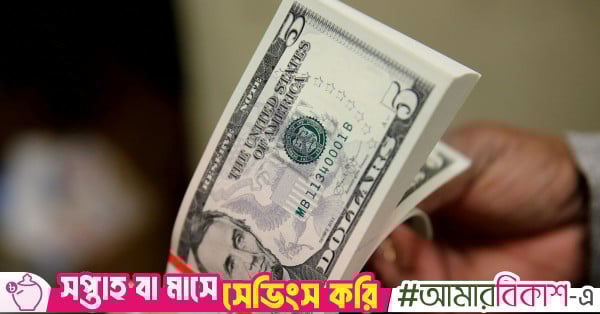 Central bank buys $798m in January to stabilise dollar rate